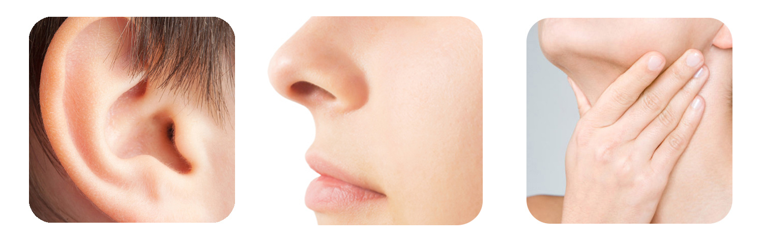 Top ENT Hospital in Kharghar – Auricle ENT Hospital